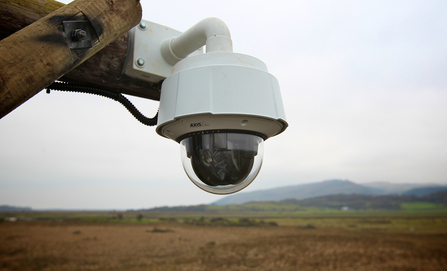 MWT - Dyfi Osprey Project nest cam