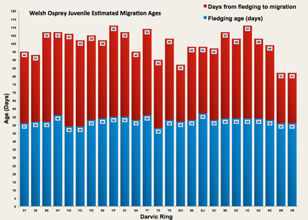 MWT - Welsh Osprey Juvenile Estimated Migration Ages (through 2013)