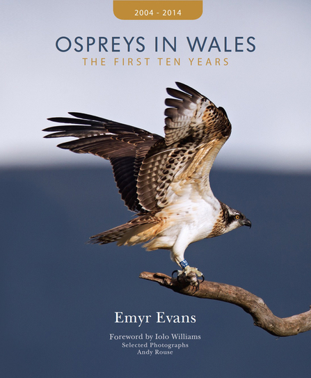 MWT - Ospreys in Wales book cover