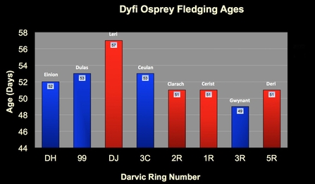 MWT - DOP chicks fledging ages graph