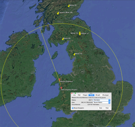 Google maps, Welsh osprey relations dispersal