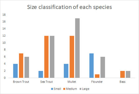 Size classification and number of fish caught