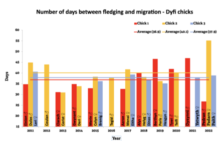 Number of days between fledging and migration