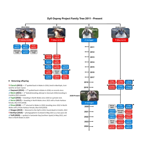 Family tree showing all breeding adults and their offspring