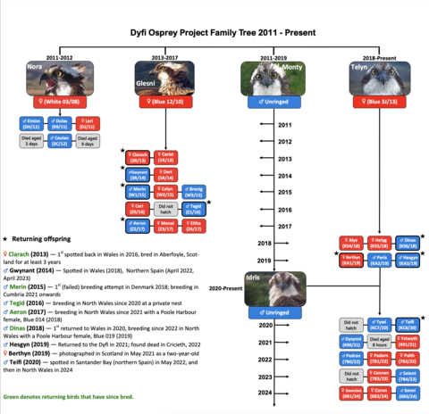 Family tree