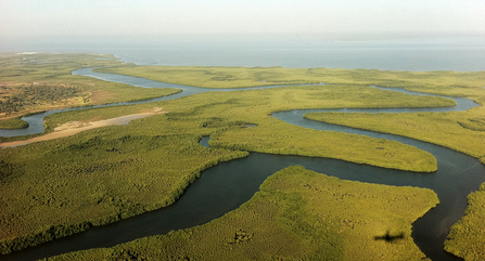 Sine-Saloum Delta, Senegal