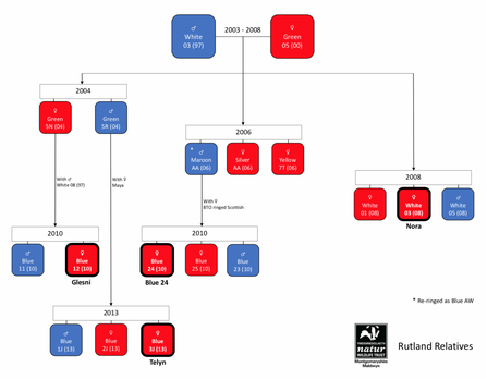 MWT Rutland relatives