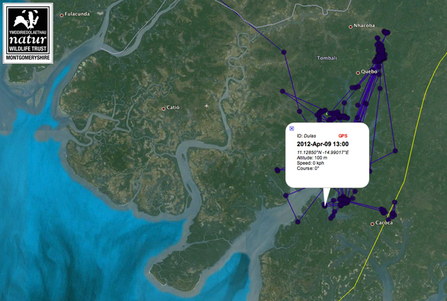 © MWT, Dulas Tracking Data, April 9, 2012. Dyfi Osprey Project