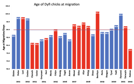 Age at Migration