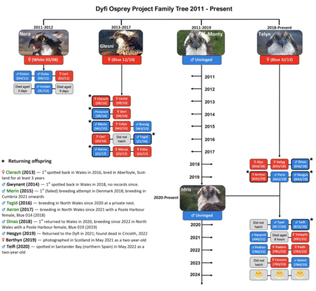 Family Tree