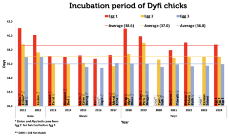 Incubation period for all Dyfi eggs