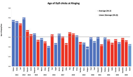 Age of chicks at ringing