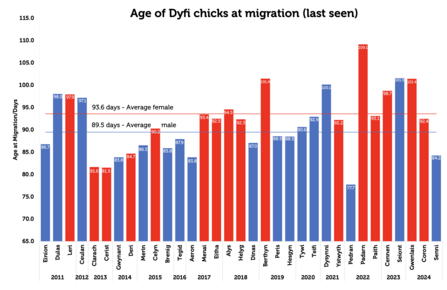 Migration ages