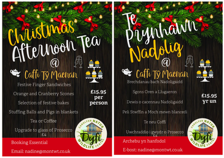 Bilingual Poster for Christmas Afternoon Tea 2024