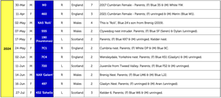 2024 Dyfi intruders