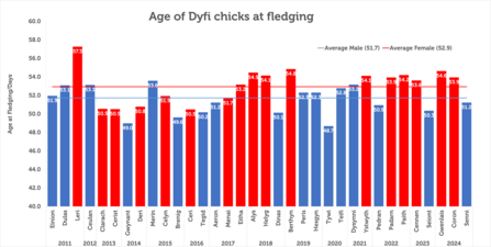 Fledging graph