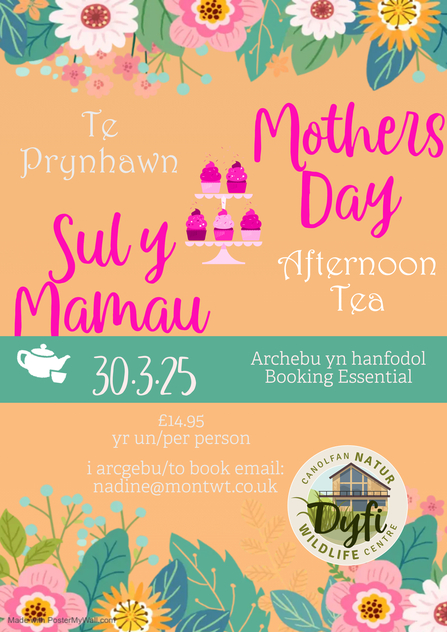 Poster for a Mothers day afternoon tea